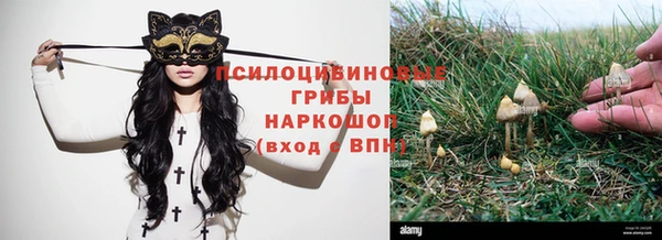 ALPHA PVP Заволжье