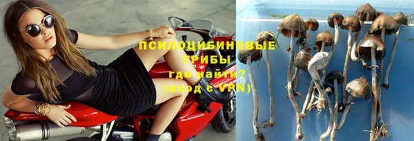меф Щигры