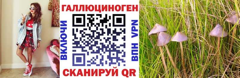 продажа наркотиков Сретенск Псилоцибиновые грибы MAGIC MUSHROOMS